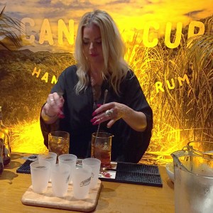 At the Appleton Estates party.