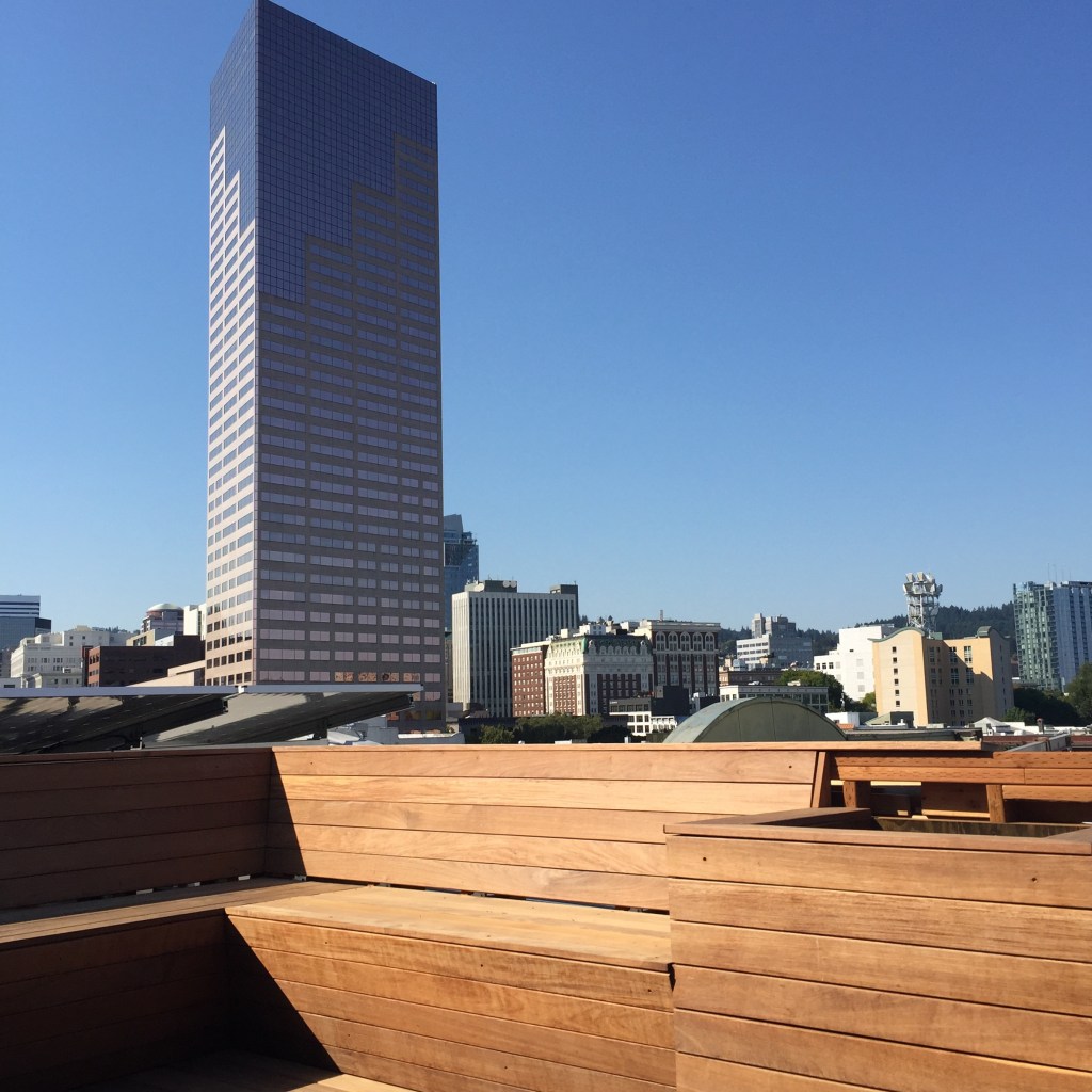 The view from Society's rooftop deck.